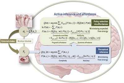 The Active Inference Approach to Ecological Perception: General Information Dynamics for Natural and Artificial Embodied Cognition
